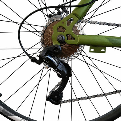Gris-Verde