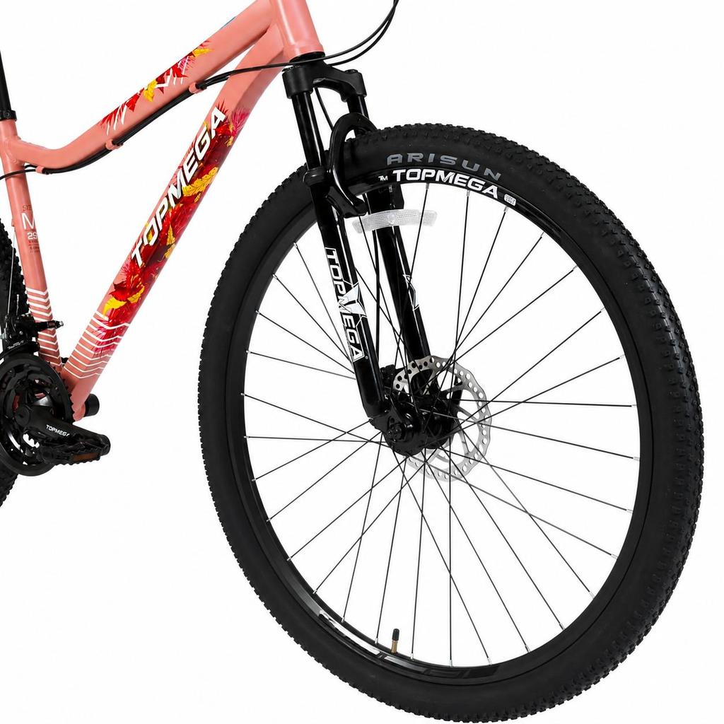 Rosa-Arena-Fucsia