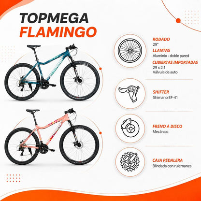 Bicicleta Topmega Flamingo