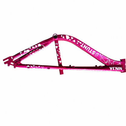Cuadro Bicicleta Ninja Stunt