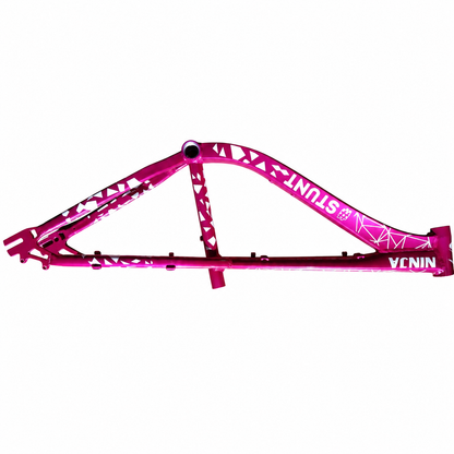 Cuadro Bicicleta Ninja Stunt