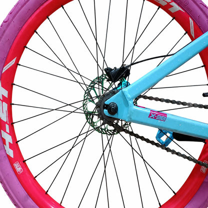 Bicicleta Viking Tuff 25 Single Speed