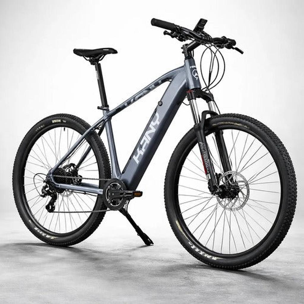 Bicicleta Eléctrica Kany EB-M290 Gris-Negro