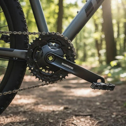 Plato y Palanca Shimano Negro